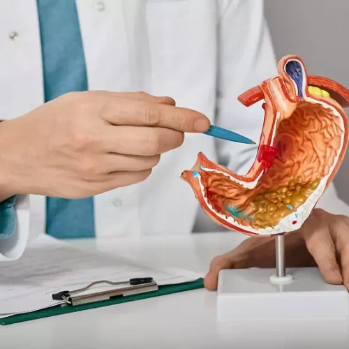 estomago-04112023-6549336ec5e8e